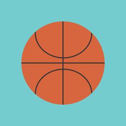 开云官网APP下载-篮球专项体能训练中的运动损伤风险管理，篮球专项体能训练应注意的问题